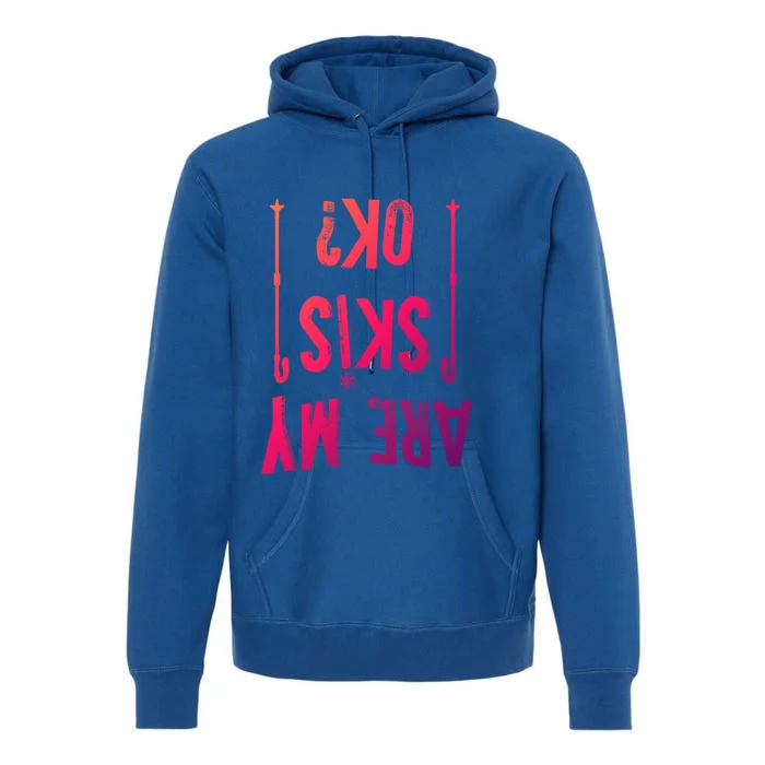 Are My Skis Ok?Skier Skiing Mountains Winter Sports Ski Fan Great Gift Premium Hoodie