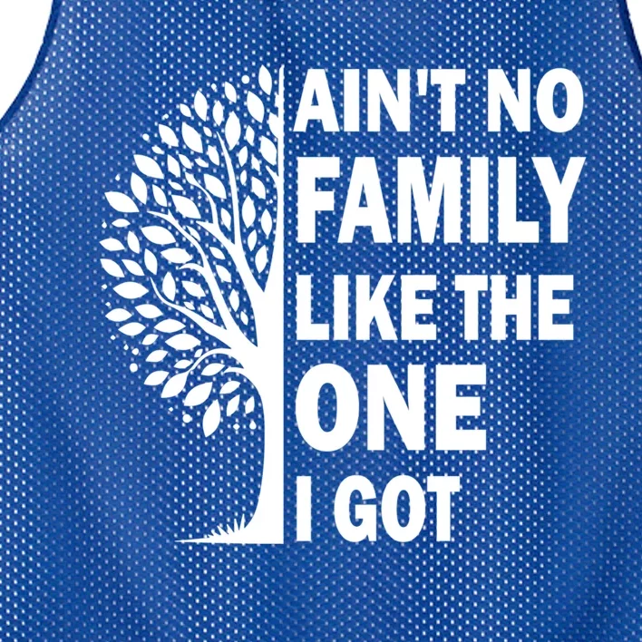 AinT No Family Like The One I Got Family Reunion And Great Gift Mesh Reversible Basketball Jersey Tank