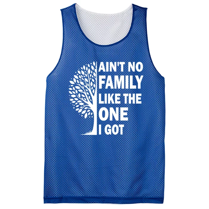 AinT No Family Like The One I Got Family Reunion And Great Gift Mesh Reversible Basketball Jersey Tank