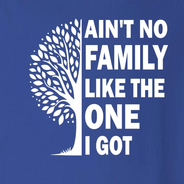 AinT No Family Like The One I Got Family Reunion And Great Gift Toddler Long Sleeve Shirt