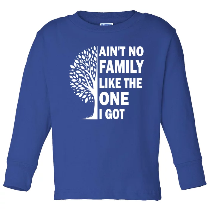 AinT No Family Like The One I Got Family Reunion And Great Gift Toddler Long Sleeve Shirt