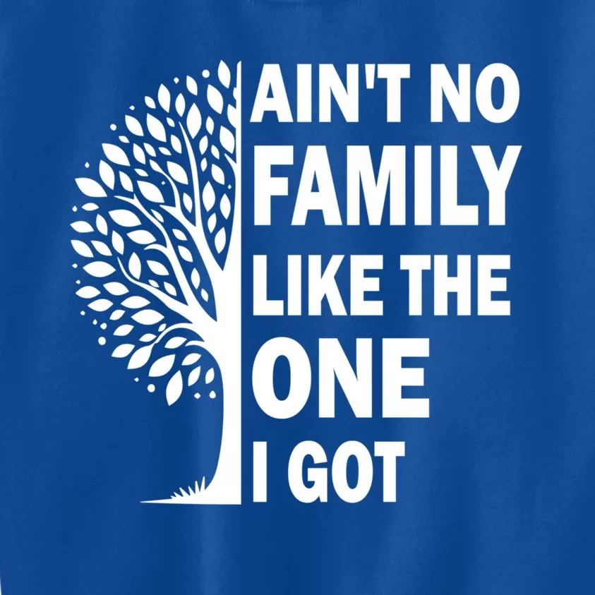 AinT No Family Like The One I Got Family Reunion And Great Gift Kids Sweatshirt