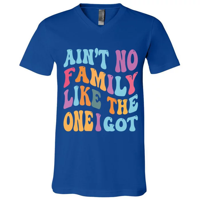 AinT No Family Like The One I Got Reunion Family Funny Gift V-Neck T-Shirt