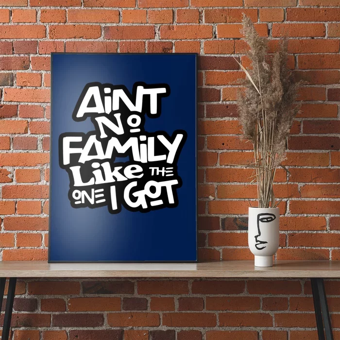 Aint No Family Like The One I Got For Family Poster