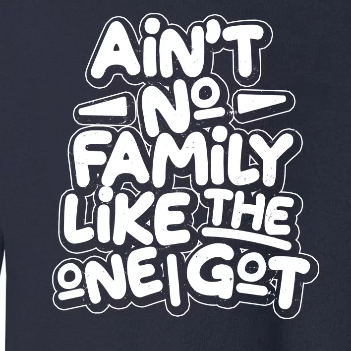 Ain't No Family Like The One I Got Toddler Sweatshirt