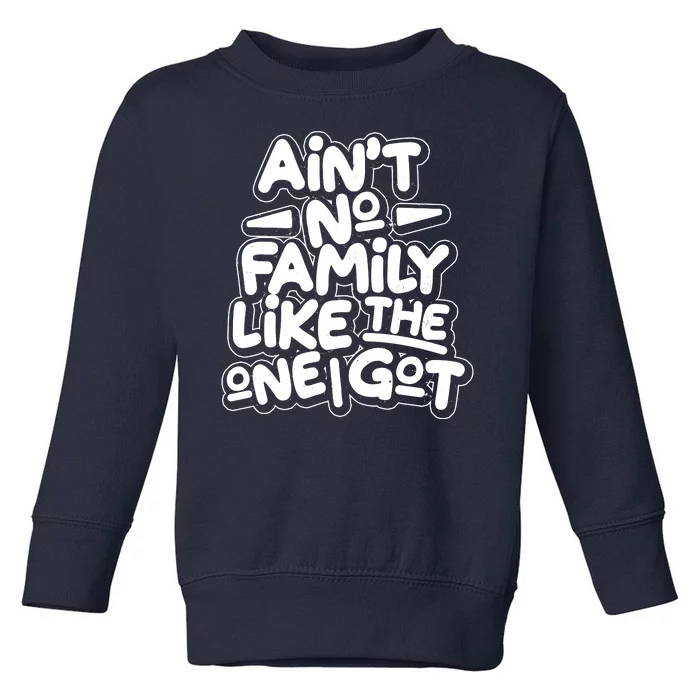 Ain't No Family Like The One I Got Toddler Sweatshirt