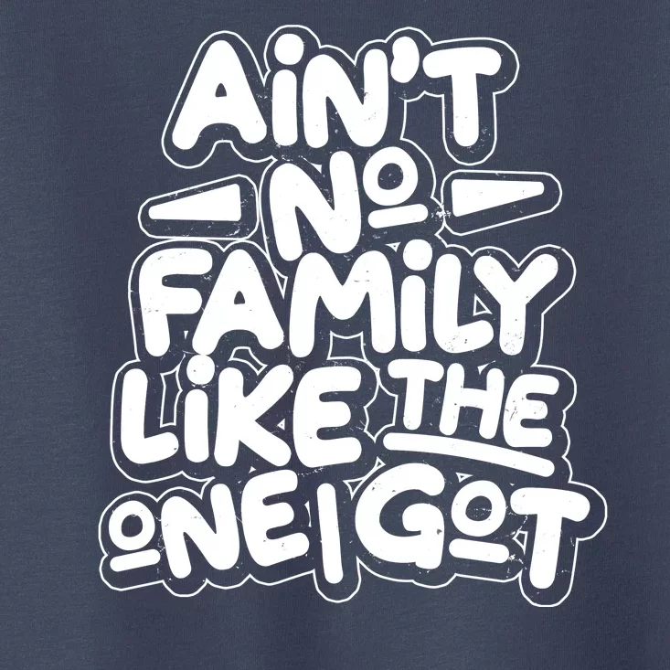 Ain't No Family Like The One I Got Toddler T-Shirt