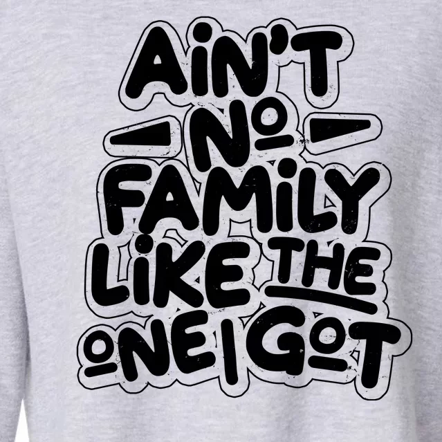 Ain't No Family Like The One I Got Cropped Pullover Crew