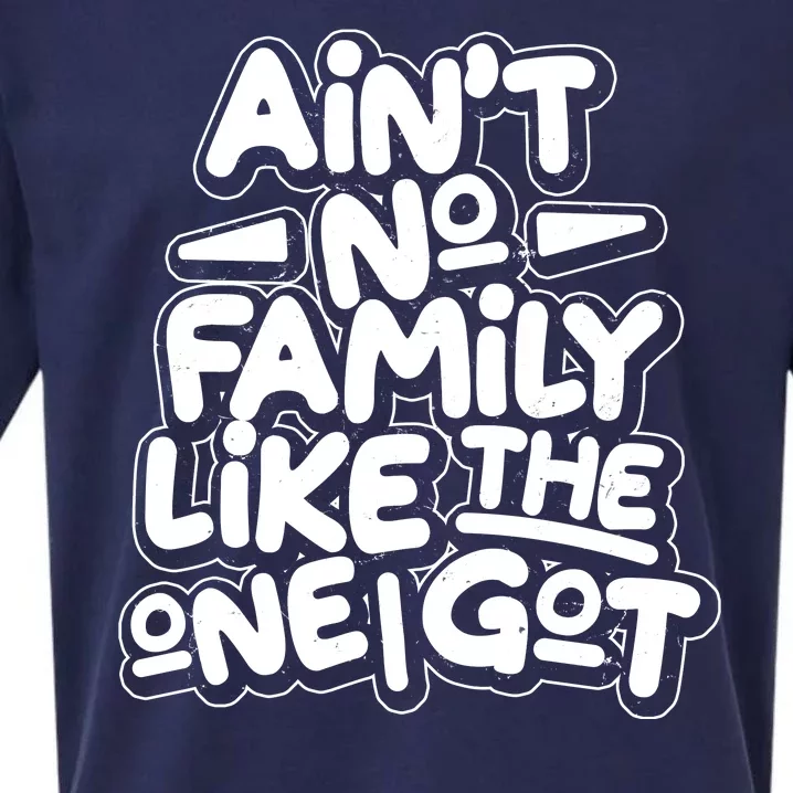 Ain't No Family Like The One I Got Sueded Cloud Jersey T-Shirt