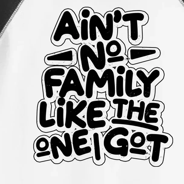 Ain't No Family Like The One I Got Toddler Fine Jersey T-Shirt