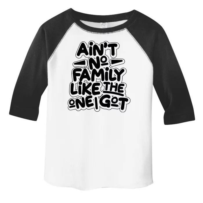 Ain't No Family Like The One I Got Toddler Fine Jersey T-Shirt