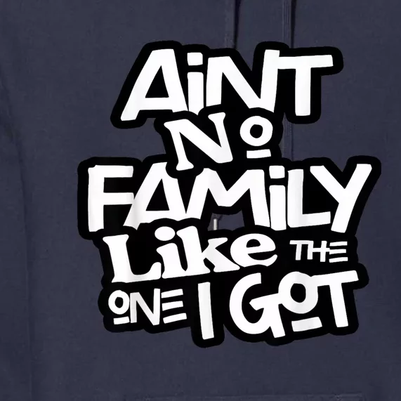 Aint No Family Like The One I Got For Family Premium Hoodie