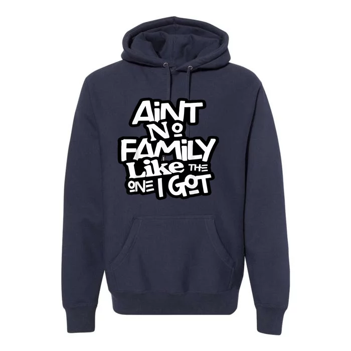 Aint No Family Like The One I Got For Family Premium Hoodie