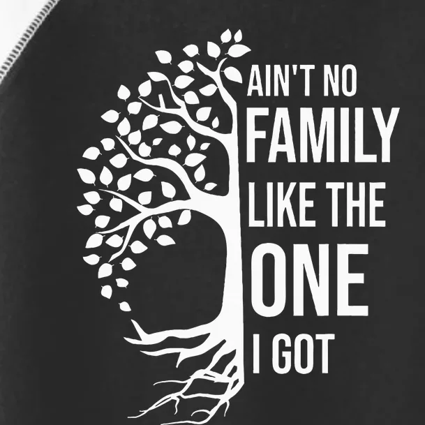 AinT No Family Like The One I Got Toddler Fine Jersey T-Shirt