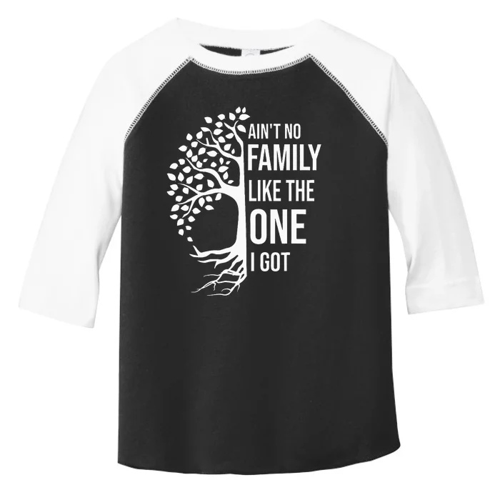 AinT No Family Like The One I Got Toddler Fine Jersey T-Shirt