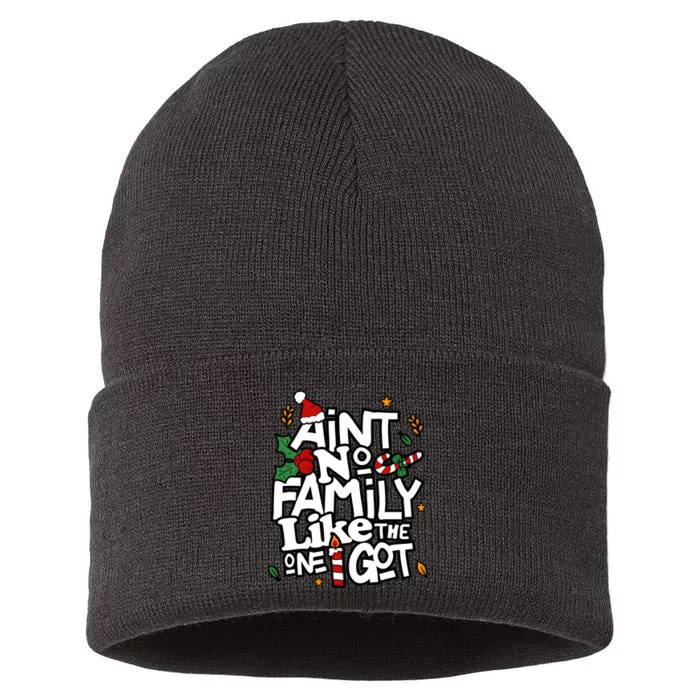 AinT No Family Like The One I Got Matching Family Christmas Sustainable Knit Beanie