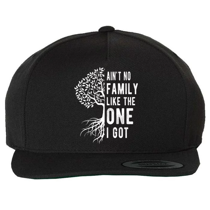 Aint No Family Like The One I Got Wool Snapback Cap