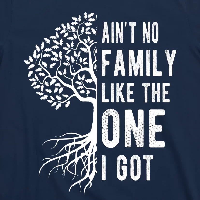 Aint No Family Like The One I Got T-Shirt