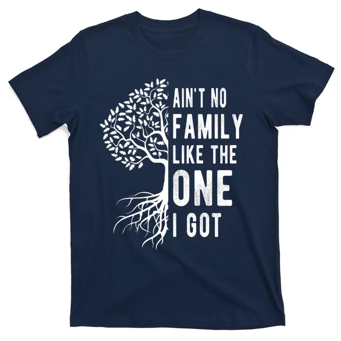 Aint No Family Like The One I Got T-Shirt