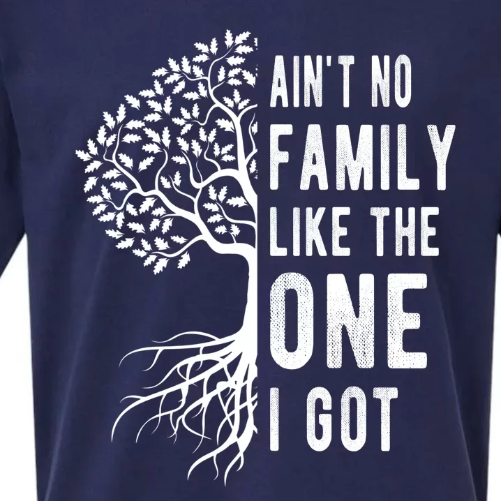 Aint No Family Like The One I Got Sueded Cloud Jersey T-Shirt