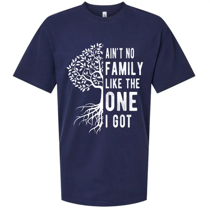 Aint No Family Like The One I Got Sueded Cloud Jersey T-Shirt