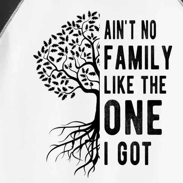 Aint No Family Like The One I Got Toddler Fine Jersey T-Shirt