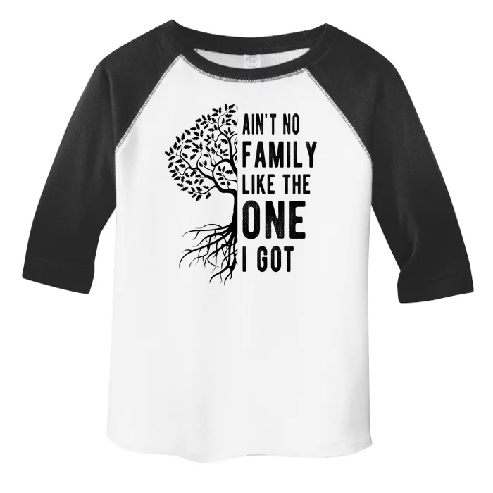 Aint No Family Like The One I Got Toddler Fine Jersey T-Shirt