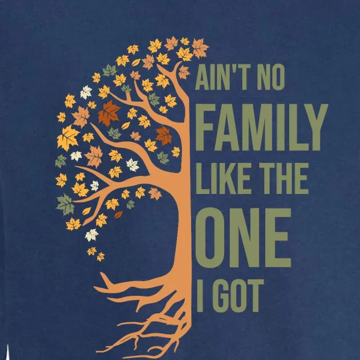 AinT No Family Like The One I Got Funny Family Reunion 2024 Garment-Dyed Sweatshirt