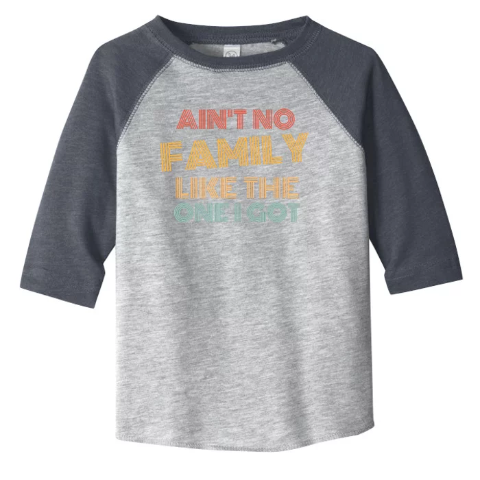 AinT No Family Like The One I Got Funny Family Vintage Toddler Fine Jersey T-Shirt