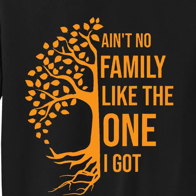 AinT No Family Like The One I Got Funny Family Reunion 2023 Sweatshirt