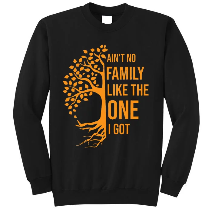 AinT No Family Like The One I Got Funny Family Reunion 2023 Sweatshirt