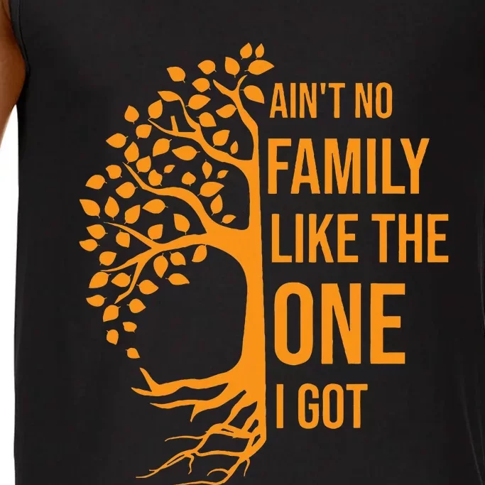 AinT No Family Like The One I Got Funny Family Reunion 2023 Comfort Colors® Tank Top