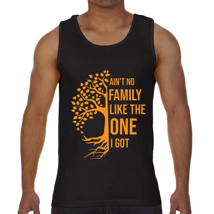 AinT No Family Like The One I Got Funny Family Reunion 2023 Comfort Colors® Tank Top