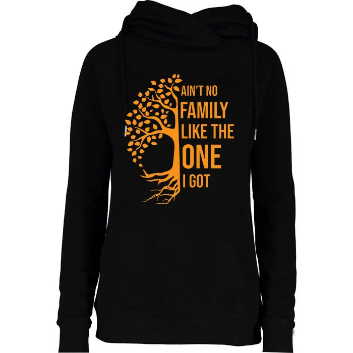 AinT No Family Like The One I Got Funny Family Reunion 2023 Womens Funnel Neck Pullover Hood