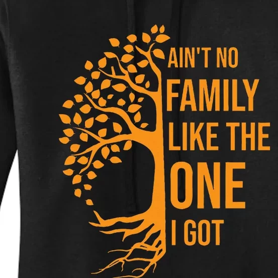 AinT No Family Like The One I Got Funny Family Reunion 2023 Women's Pullover Hoodie