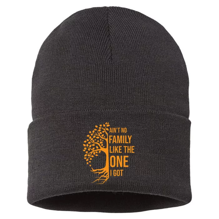 AinT No Family Like The One I Got Funny Family Reunion 2023 Sustainable Knit Beanie