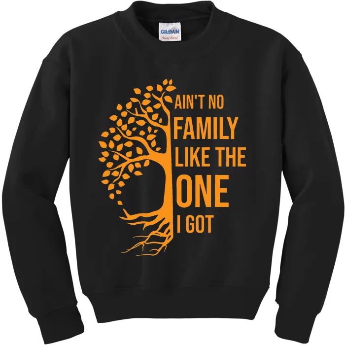 AinT No Family Like The One I Got Funny Family Reunion 2023 Kids Sweatshirt