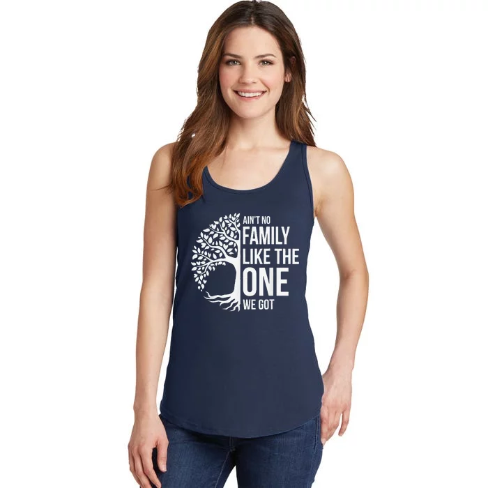 AinT No Family Like The One We Got Cute Family Reunion 2024 Ladies Essential Tank