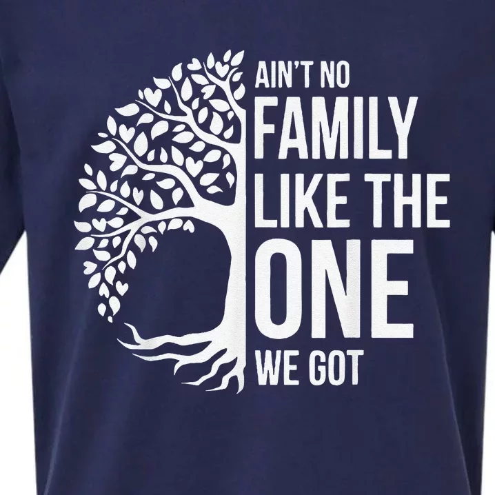 AinT No Family Like The One We Got Cute Family Reunion 2024 Sueded Cloud Jersey T-Shirt