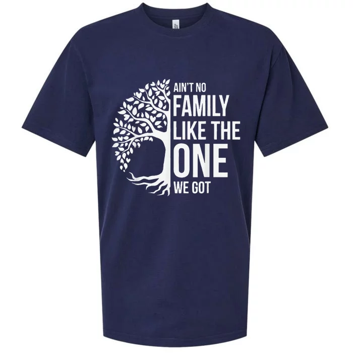 AinT No Family Like The One We Got Cute Family Reunion 2024 Sueded Cloud Jersey T-Shirt