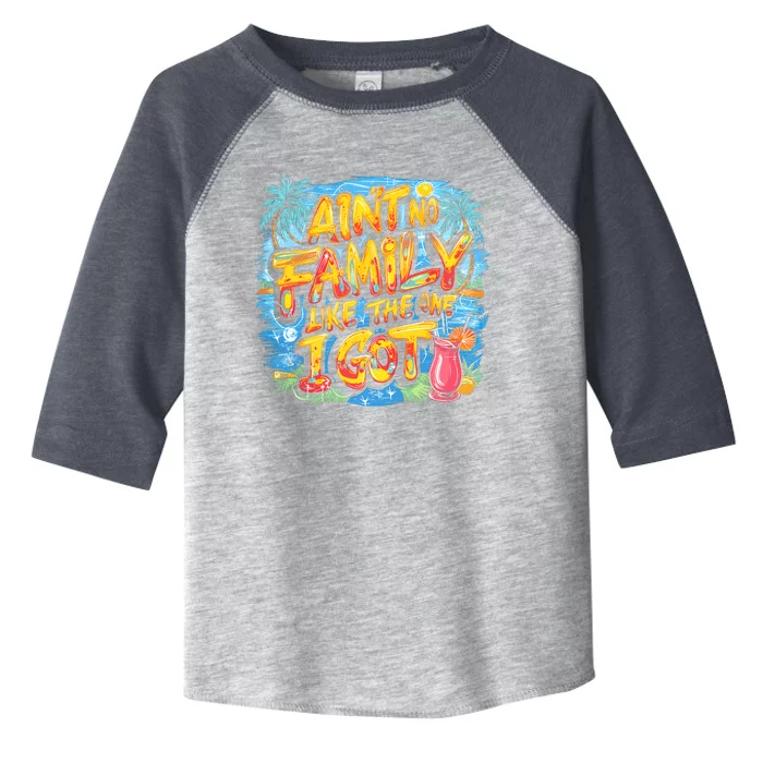 AinT No Family Like The One I Got Toddler Fine Jersey T-Shirt