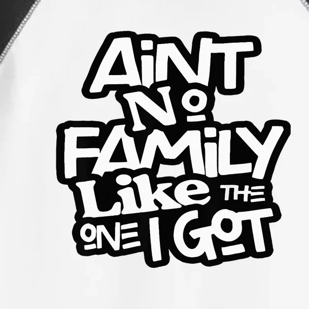 AinT No Family Like The One I Got For Family Toddler Fine Jersey T-Shirt