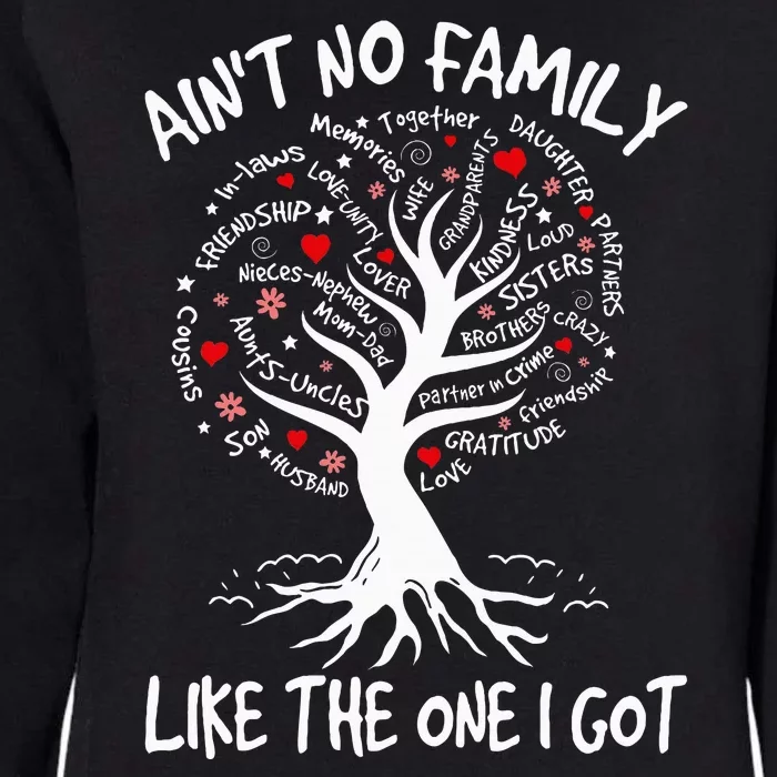 AinT No Family Like The One I Got Matching Family Reunion Womens California Wash Sweatshirt