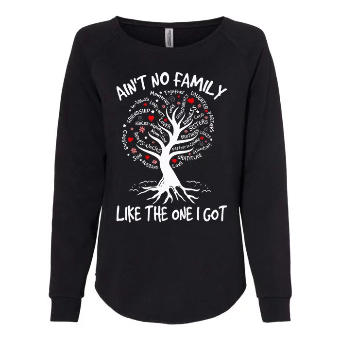 AinT No Family Like The One I Got Matching Family Reunion Womens California Wash Sweatshirt