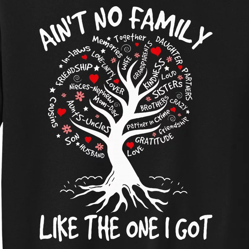 AinT No Family Like The One I Got Matching Family Reunion Tall Sweatshirt