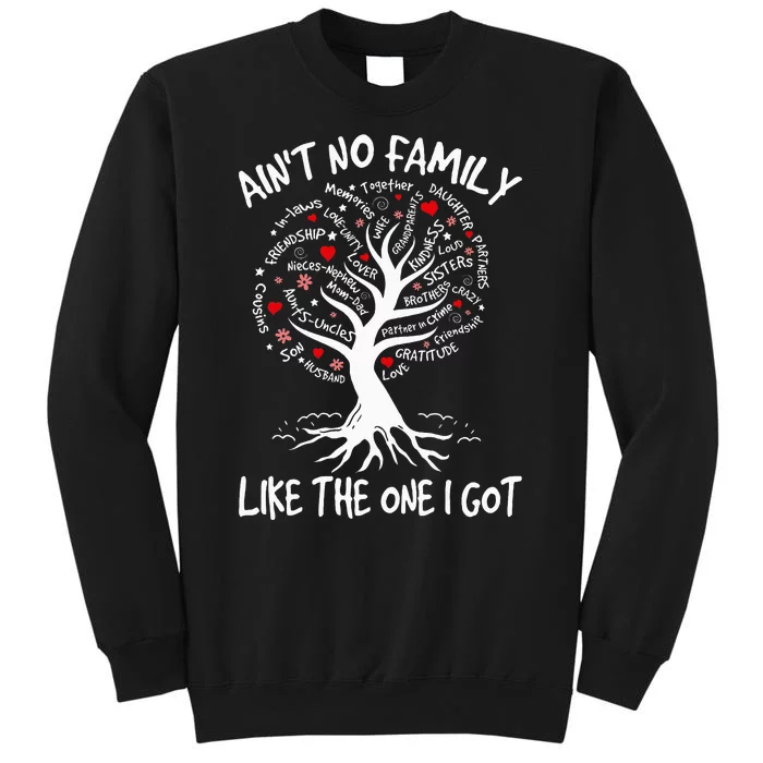 AinT No Family Like The One I Got Matching Family Reunion Tall Sweatshirt