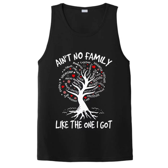 AinT No Family Like The One I Got Matching Family Reunion Performance Tank