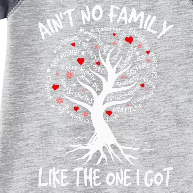 AinT No Family Like The One I Got Matching Family Reunion Infant Baby Jersey Bodysuit