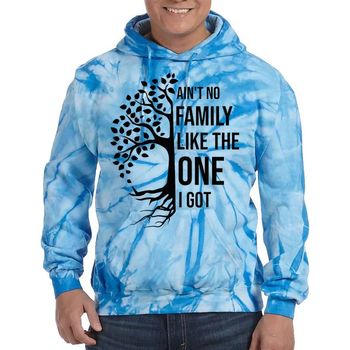 AinT No Family Like The One I Got Funny Family Reunion 2024 Tie Dye Hoodie