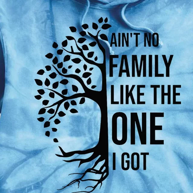 AinT No Family Like The One I Got Funny Family Reunion 2024 Tie Dye Hoodie